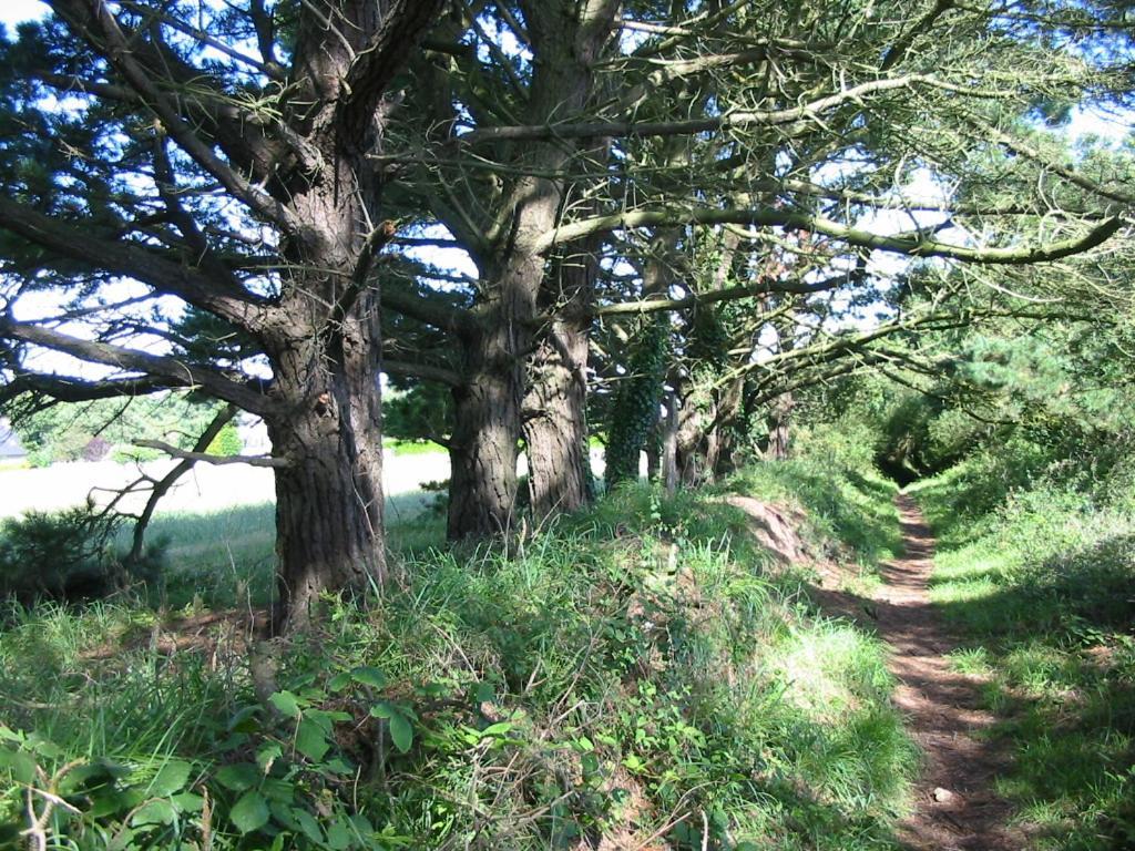 En Bretagne, Villa De 2 A 8 Pers , Meuble De Tourisme 3 Etoiles Nichee Dans Un Ecrin De Verdure A 2500M De La Plage Ploumilliau 外观 照片